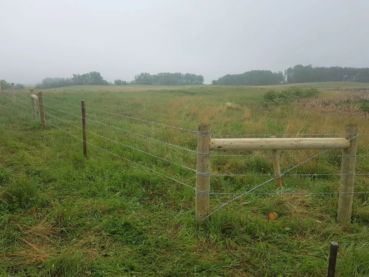 Barb Wire Fencing: Affordable and Secure Solution for Your Property
