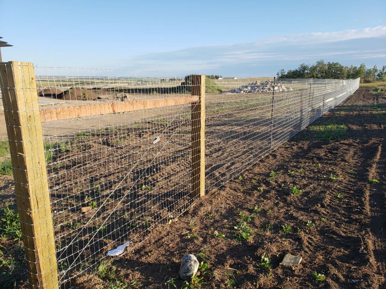 Do You Need Quality Fencing? Check Out Our Fencing Services