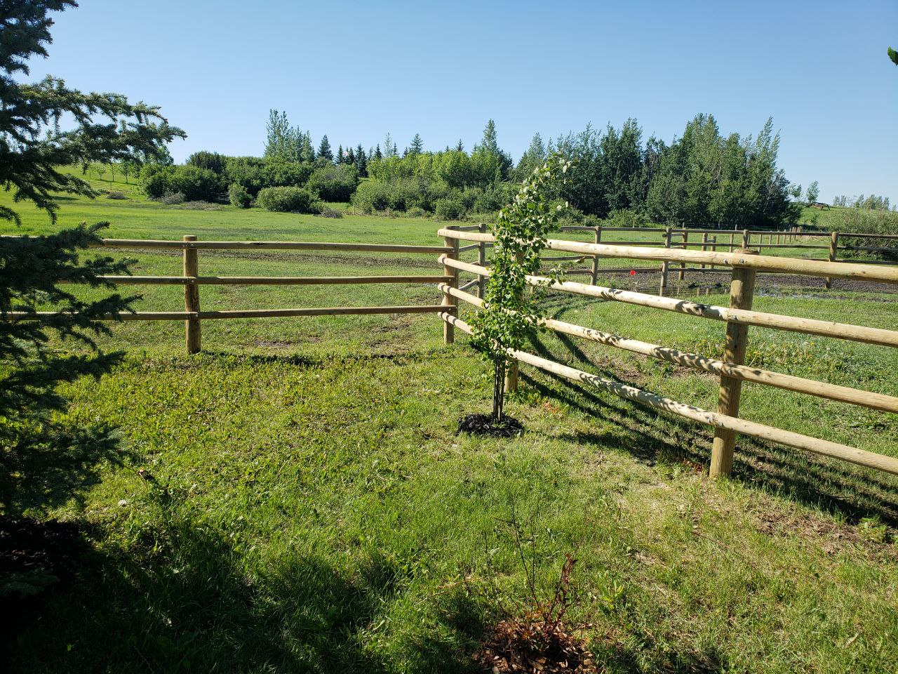 Round-Rail-Fence-for-Horses-8