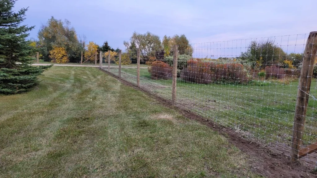 Strong and Effective Deer Fencing for Your Property