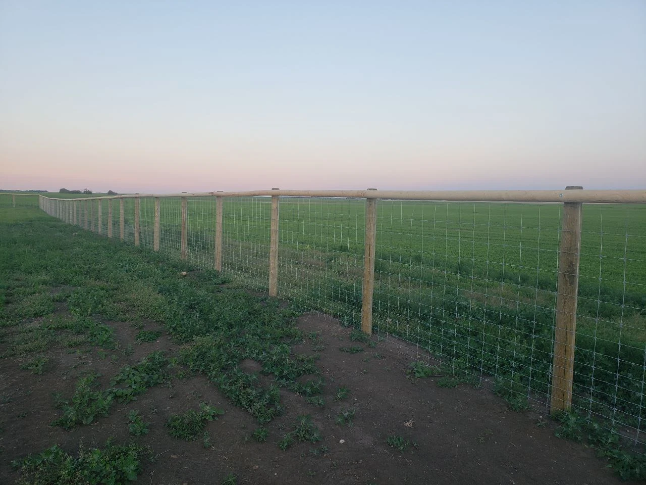 field-fence-2