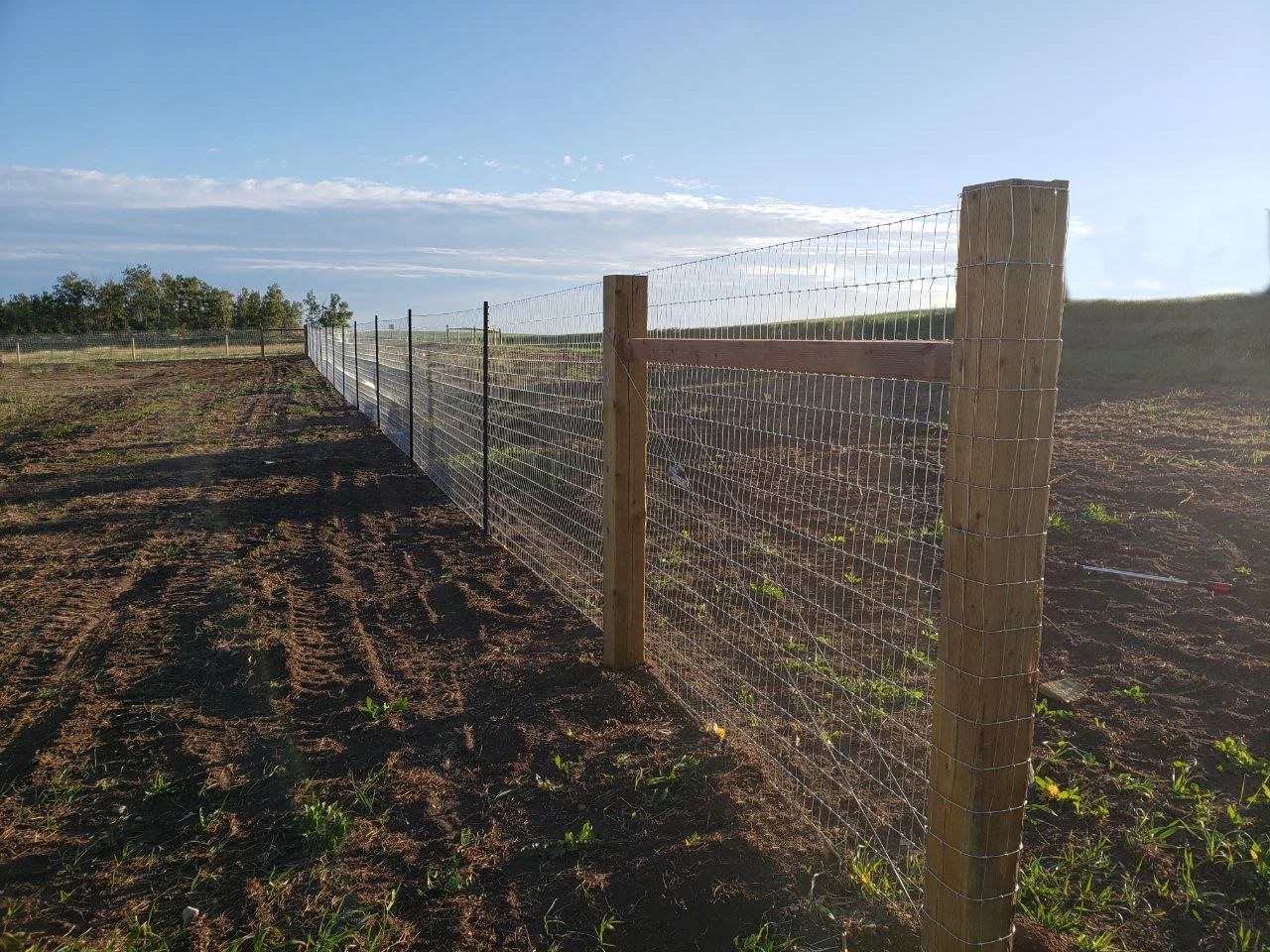 field-fence-4