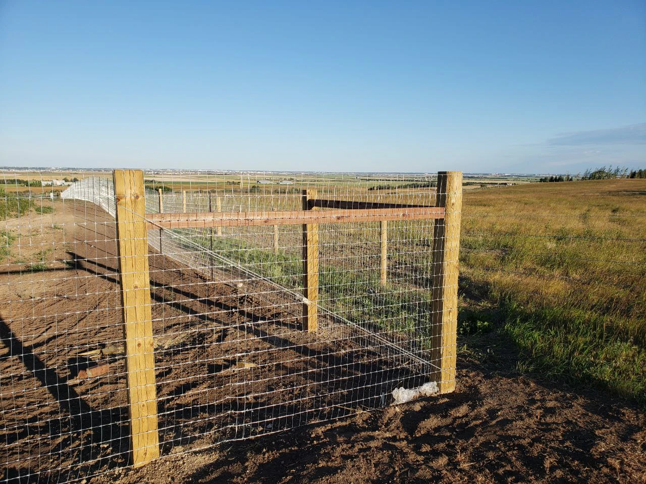 field-fence-6